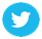 TÃ­tulo: Twitter - DescripciÃ³n: image of Twitter icon
